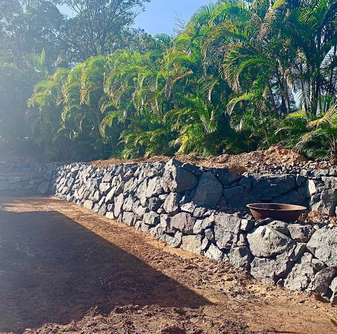 A stone wall is under construction in a lush tropical forest, surrounded by vibrant greenery and tall trees. 
