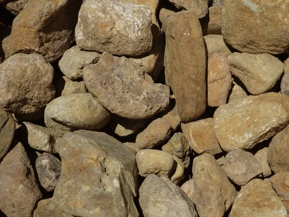 Maroochydore Natural