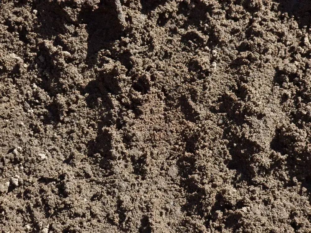 Screened Top Soil